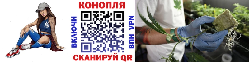 Где купить наркоту Дальнегорск КОКАИН  Гашиш  А ПВП  Каннабис 