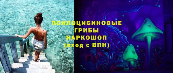 трава Белокуриха