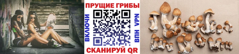 цена   Дальнегорск  Псилоцибиновые грибы прущие грибы 
